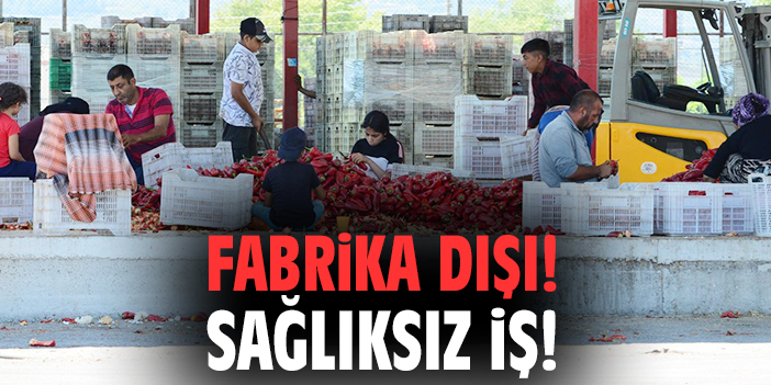 Euro Gıda’da Skandal! Göçmen İşçilerin İçler Acısı Durumu