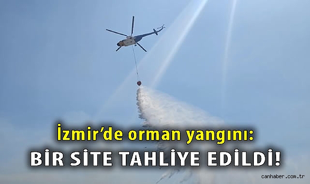 Çandarlı’da Orman Yangını: Evler Boşaltıldı!