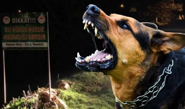 AK Partili Milletvekillerinden Sağlık ve Güvenlik İçin Hayvan Koruma Kanunu