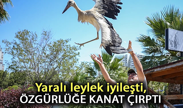 Karşıyaka Belediyesi Yaban Hayvanlarına El Uzatıyor!