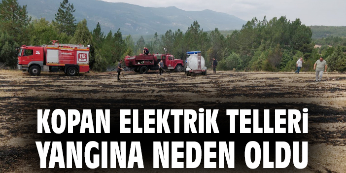 Davutobası Köyü’nde Anız Yangını Kontrol Altına Alındı!