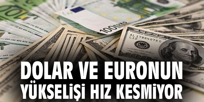 İstanbul’da Dolar ve Euro Değişimi!