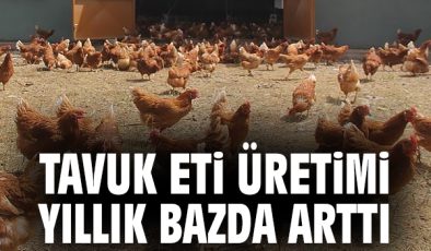 Tavuk Eti ve Yumurtada Üretim Artışı!