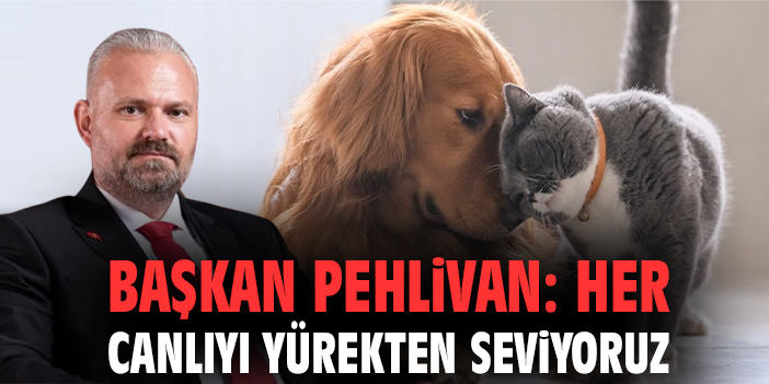 Menemen’de Şefkat: Anne Kediye Destek!