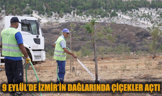 Yanan Ağaçlar Yeniden Çiçek Açtı!