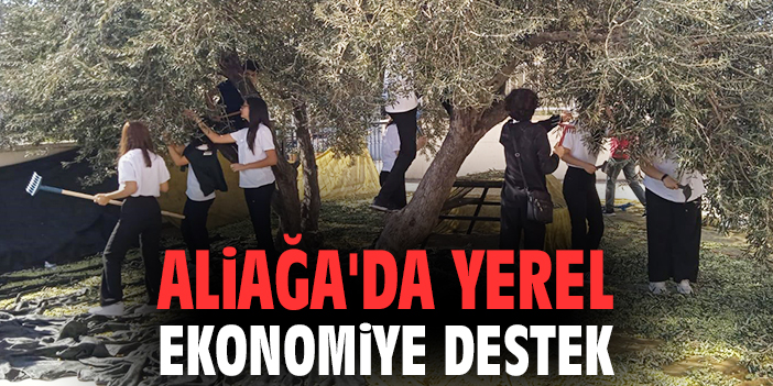 Gençler Sürdürülebilir Zeytin Tarımını Öğreniyor