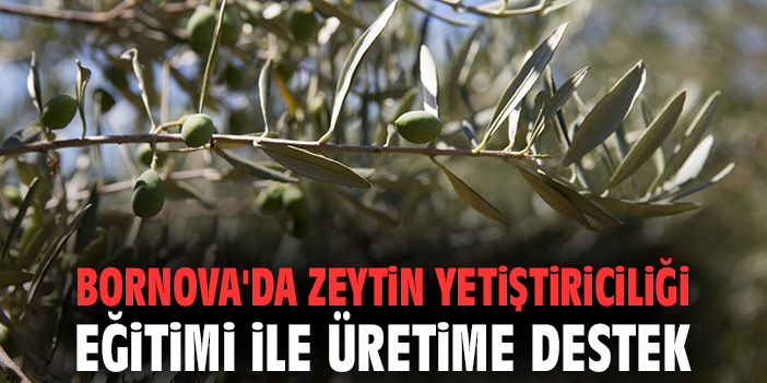 Bornova’da Zeytin Yetiştiriciliği Eğitimi Başlıyor!