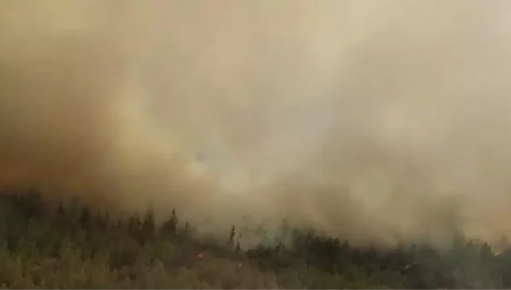 Foça’daki Yangın, Ormana Sıçradı: Ekipler Mücadele Ediyor