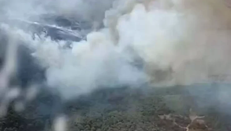 Foça’daki Yangın Ormanı Tehdit Ediyor!
