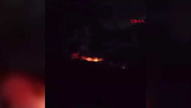 Gaziemir’de Orman Yangını: Müdahale Sürüyor!