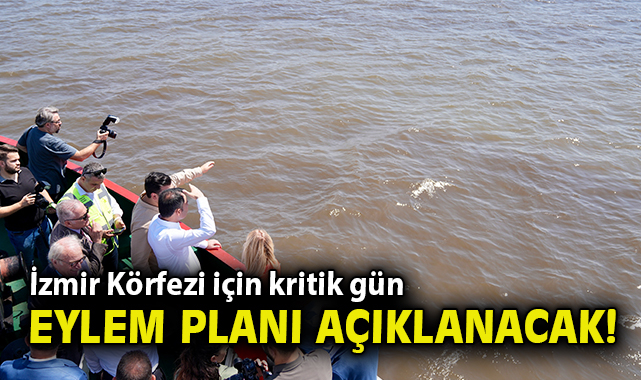 İzmir Körfezi’nde Balık Ölümleri Alarm Verdi!