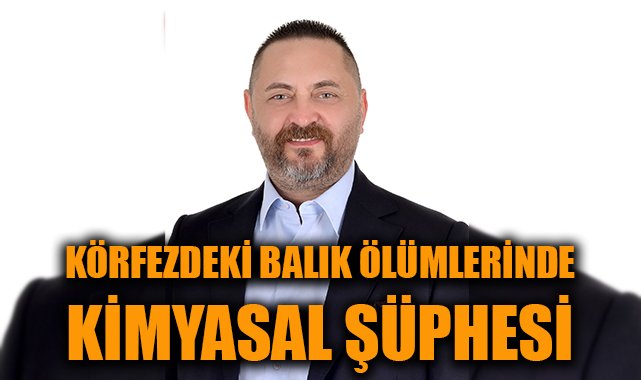Körfezdeki Balık Ölümleri Kimyasal Tehdit mi?