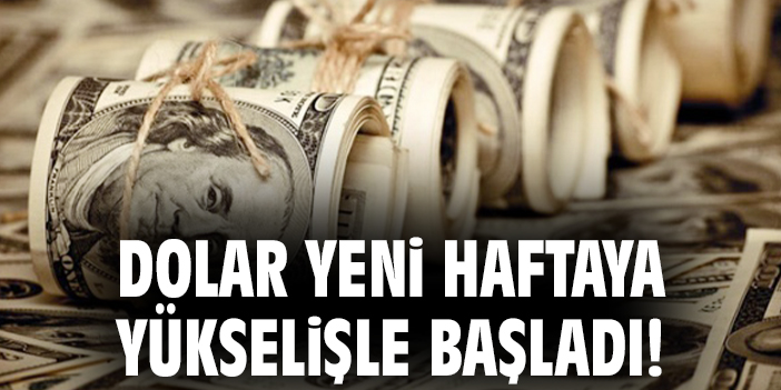 Döviz Kurları Güncellendi: Dolar ve Euro Fiyatları!