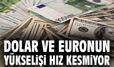 Döviz Kurları Güncellendi: Dolar ve Euro Son Durum!