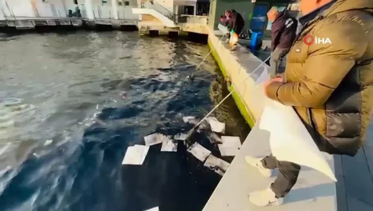 İzmir Körfezi’nde Petrol Kirliliği Alarm Veriyor!