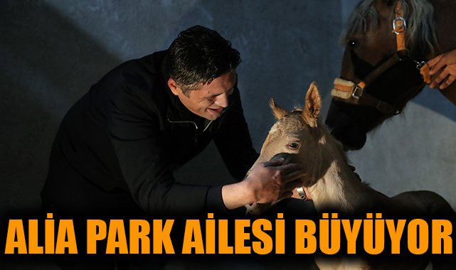 Alia Park’ta Minik Tay Heyecanı! İsim Bekleniyor