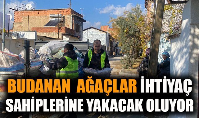 Ödemiş Belediyesi’nden Budama ile İhtiyaç Desteği