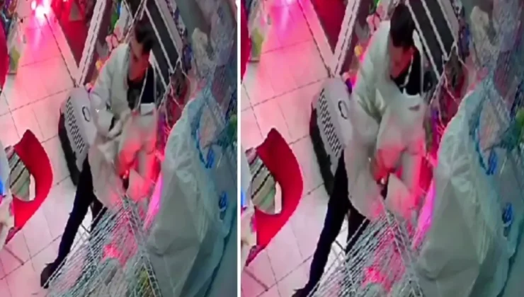 İzmir’de Petshop’tan Kedi Çalan Hırsız Yakalandı!