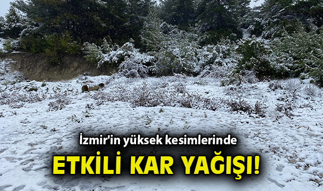 İzmir’de Beklenmedik Kar Keyfi: Çocuklar Eğleniyor!