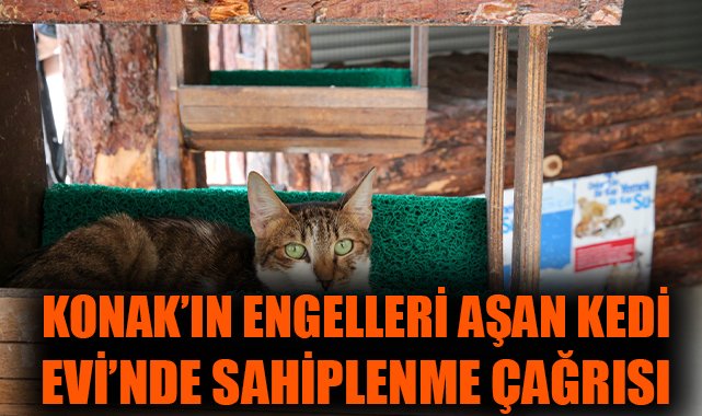 Konak’ta Patili Dostlar İçin Seferberlik