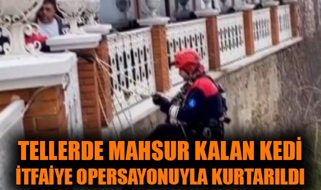 Kediyi Kurtaran İtfaiyeye Vatandaşlardan Alkış!