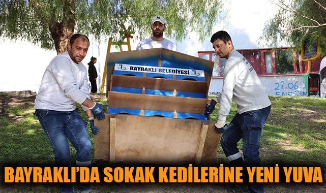 Bayraklı’da Sokak Hayvanları İçin Yeni Kedi Evleri!