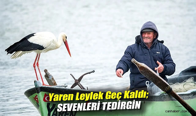 Yaren Leylek’in Göçü ve Beklentiler