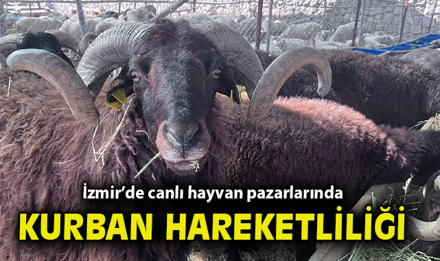 Kurban Pazarında Hareketlilik: Fiyatlar Yükseliyor!