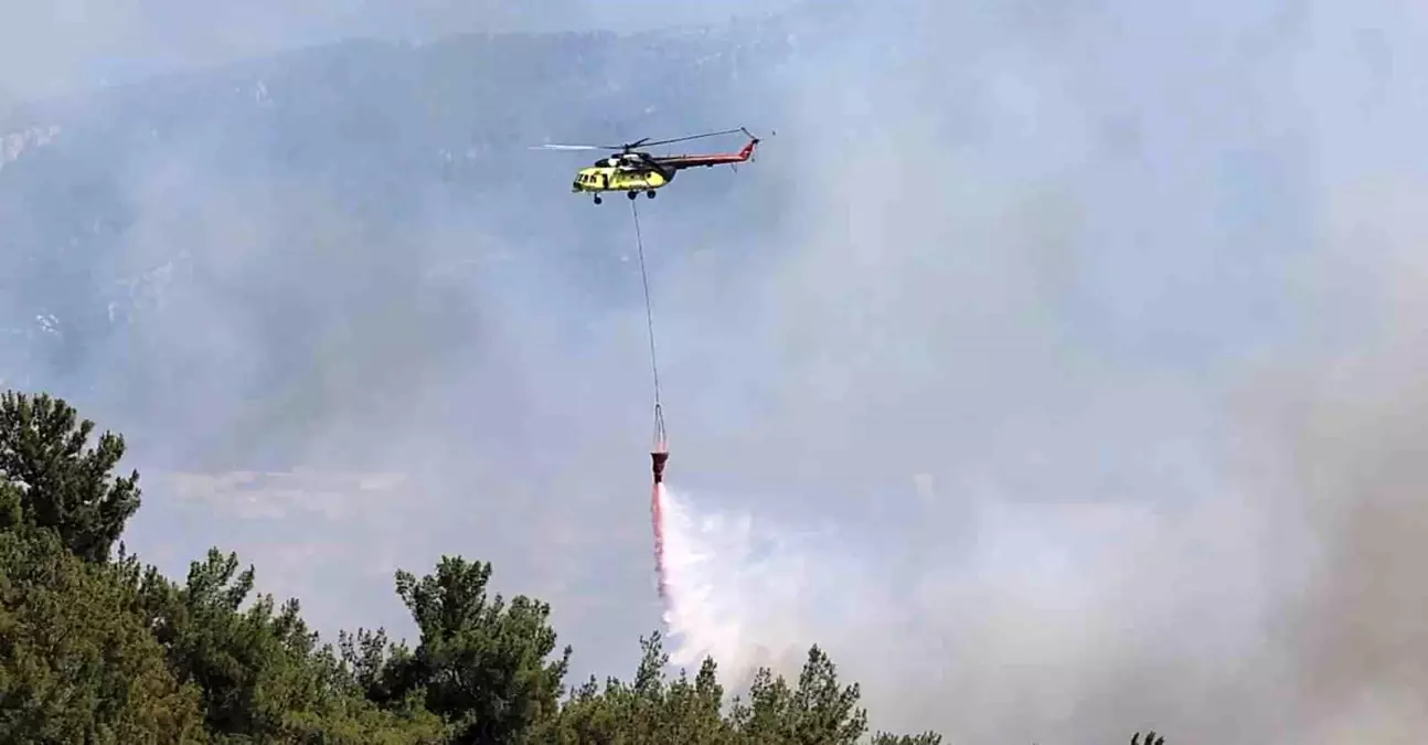 İzmir’de Yangınla Mücadele Toplu Çabası Başladı