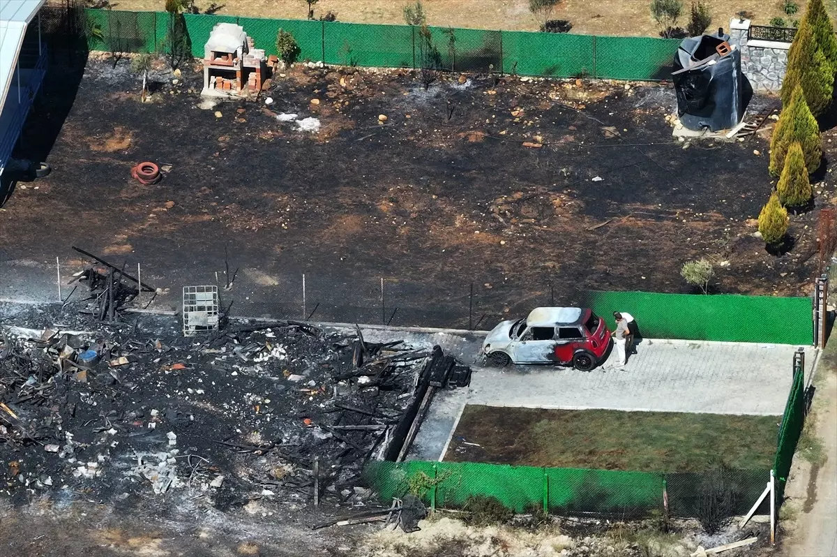 İzmir’de Orman Yangını: Canlar ve Hayatlar Yandı