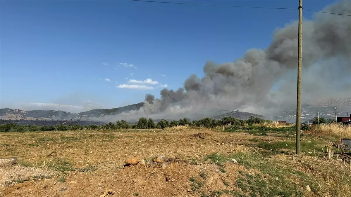 Tire’de Yangın: Yerleşim Yerlerine Sıçradı!
