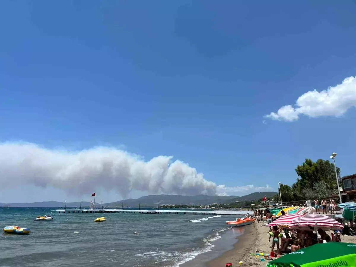 İzmir’de Orman Yangını: Ekipler Seferber Oldu!