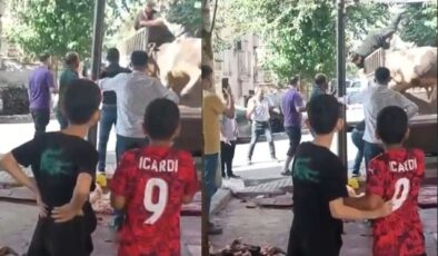 Boğa Saldırısı: Kasap Çileği Bir Viral Olay!