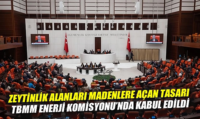 Zeytinlikler Enerji İçin Açıldı, Tartışmalar Sürüyor!