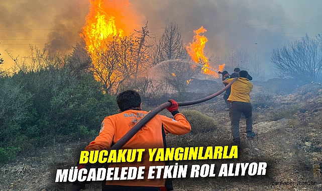 BUCAKUT Ekibi, Yangınlarla Canla Bağışıklık Sağlıyor