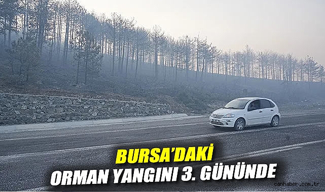 Bursa’da Orman Yangını 3. Günde Kontrol Altında!