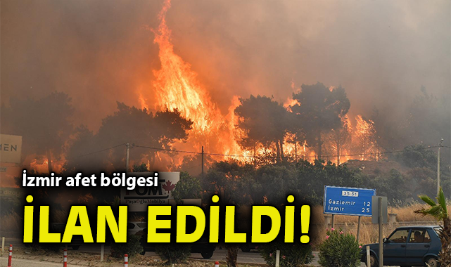 Orman Yangınları: Bilecik ve İzmir Afet Bölgesi ilan edildi!
