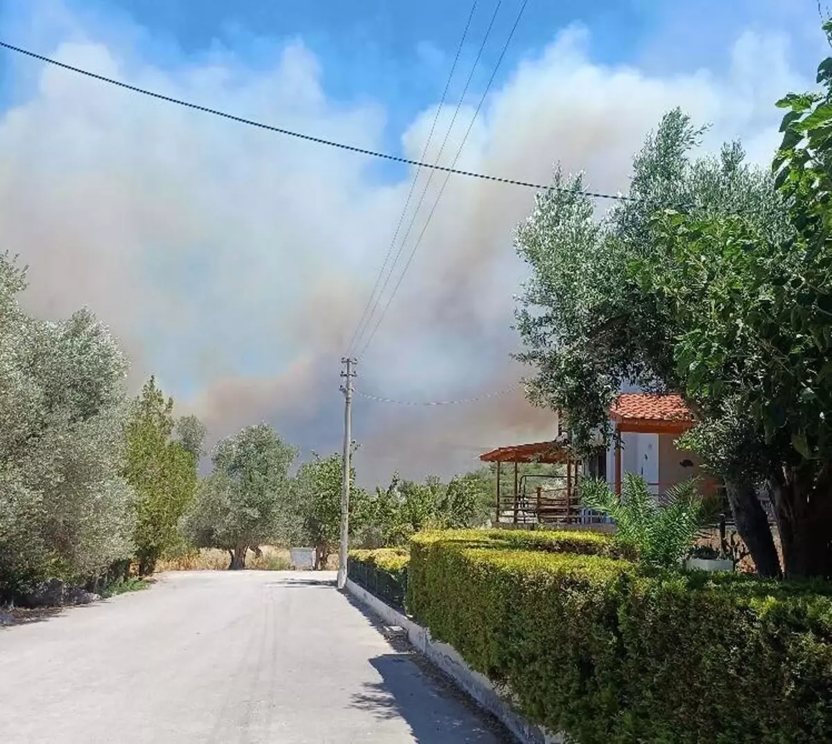 Çeşme’de Tarım Arazisinde Korkutan Yangın!