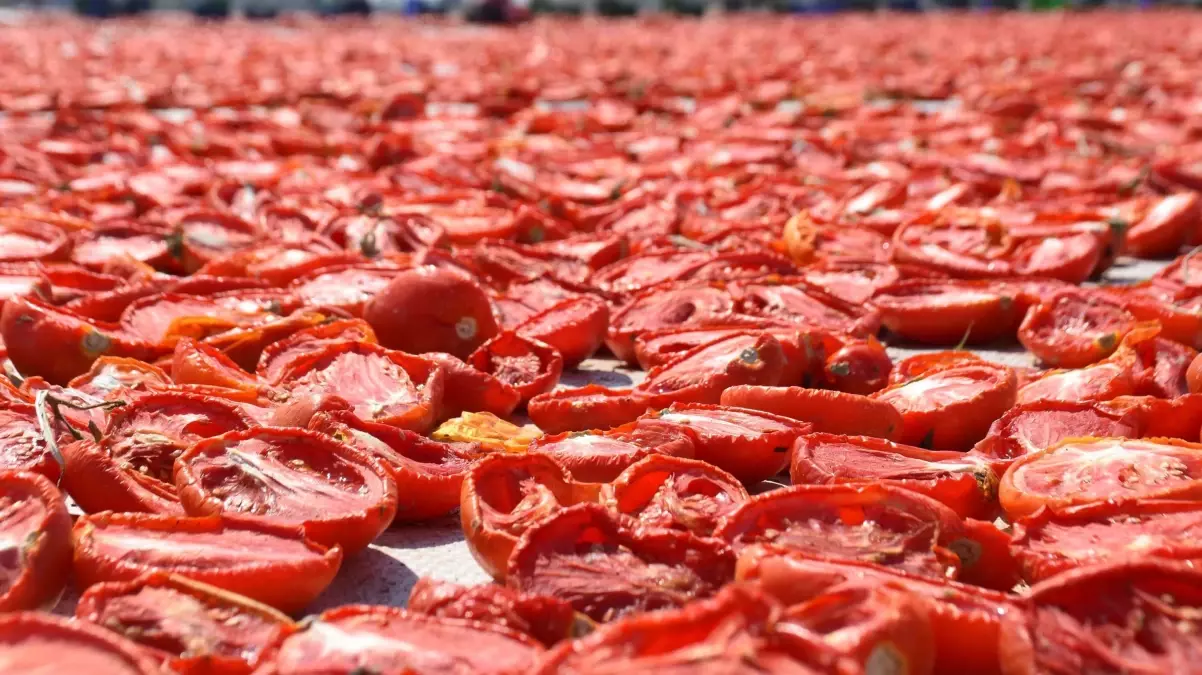 Torbalı Kuru Domatesi: Kalite ve İhracat Üssü
