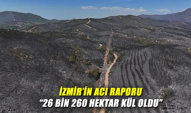 İzmir’de Yangın Felaketi: Ormanlar Küllere Döndü!