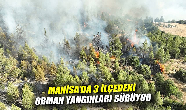 Akhisar, Ahmetli ve Kula’da Orman Yangınları Sürüyor!