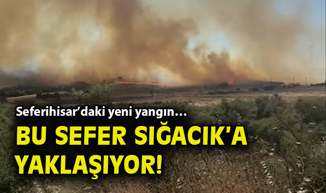 Seferihisar’da Yangın Yeniden Başladı! Acil Çağrı!