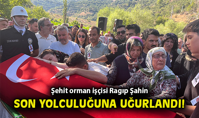 Orman Kahramanı Şehit Oldu: Aile Feryat etti!