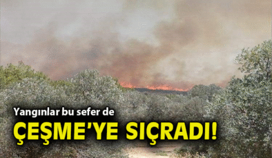 Çeşme’de Orman Yangını: Rüzgar Alevleri Büyütüyor!