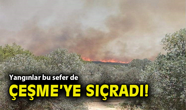Çeşme’de Orman Yangını: Rüzgar Alevleri Büyütüyor!