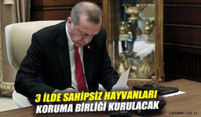 Üç İlde Sahipsiz Hayvan Koruma Birliği Kuruldu