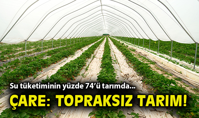 Su Kıtlığına Çözüm: Zorunlu Olarak Hidroponik Tarım
