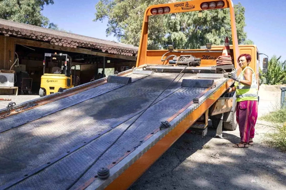 Kadın Şoför Munise: Zorlukların Üstesinden Geliyor!