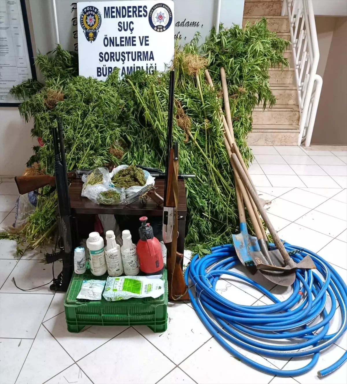 İzmir’de Hint Keneviri Yetiştiren Şüpheli Yakalandı!