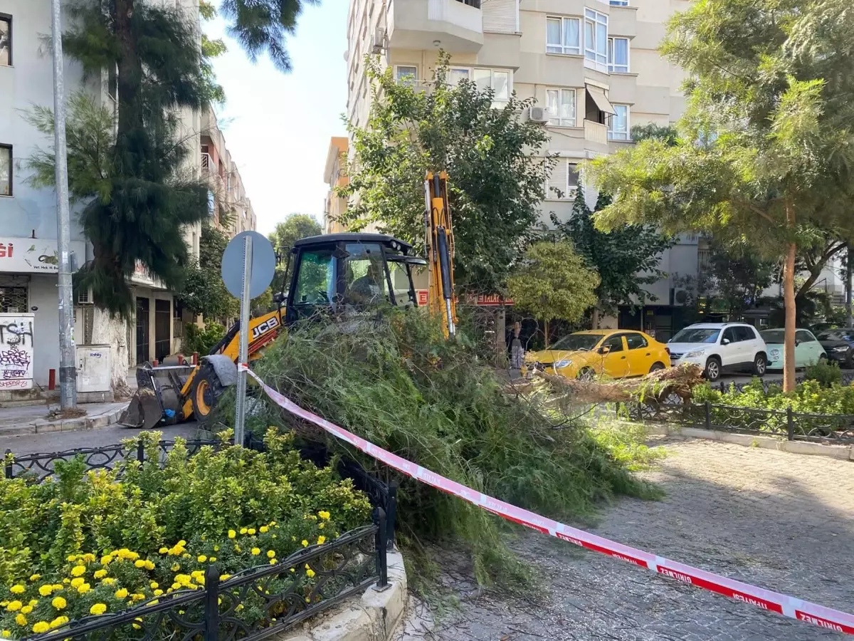 Ağaç Devrildi, Park Halindeki Araç Zarar Gördü!